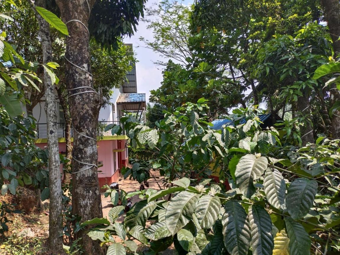 Green Land Estate Homestay 5 Rooms With Garden View Madikeri Bagian luar foto