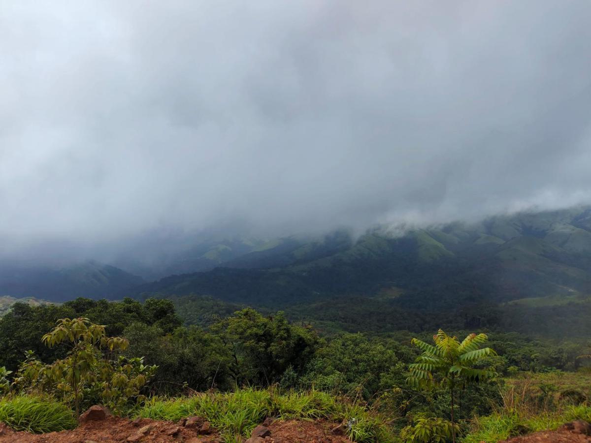 Green Land Estate Homestay 5 Rooms With Garden View Madikeri Bagian luar foto